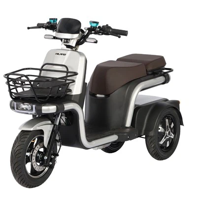 Trójkołowy rower elektryczny Two Moter 800w * 2